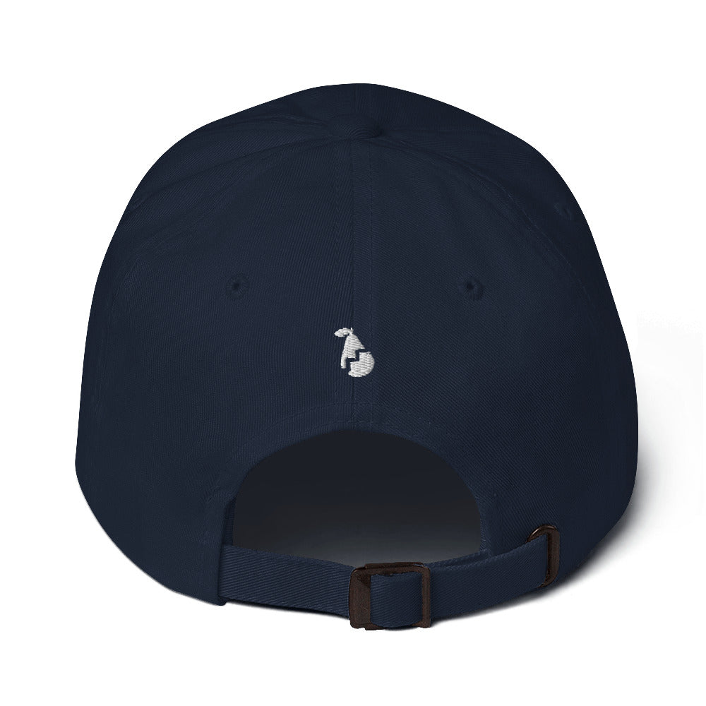 Pairable Sleek Hat